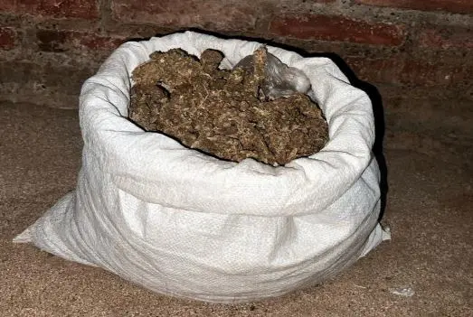 White sack filled with brown dried material.