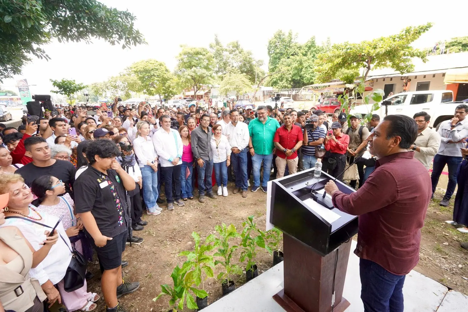 Eduardo Ramírez impulsa reforestación en Tapachula con árboles nativos