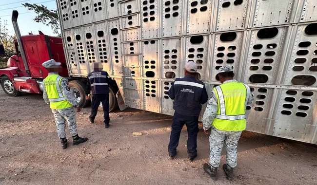 Inspectores revisan camión de transporte ganadero en operativo zoosanitario en México