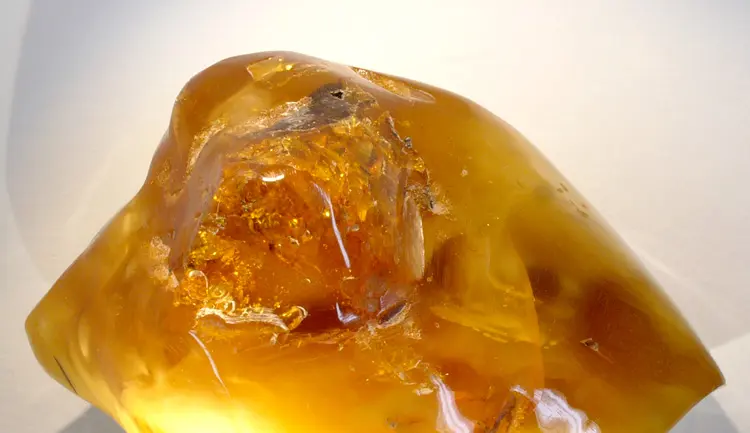 Ámbar de Chiapas con denominación de origen expuesto en Expo 2025