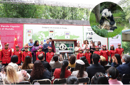 Children at giant panda conservation event