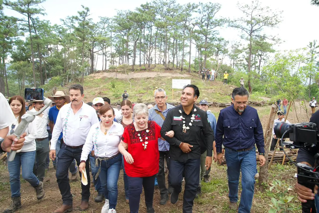 Protección de áreas naturales en Chiapas y desarrollo forestal