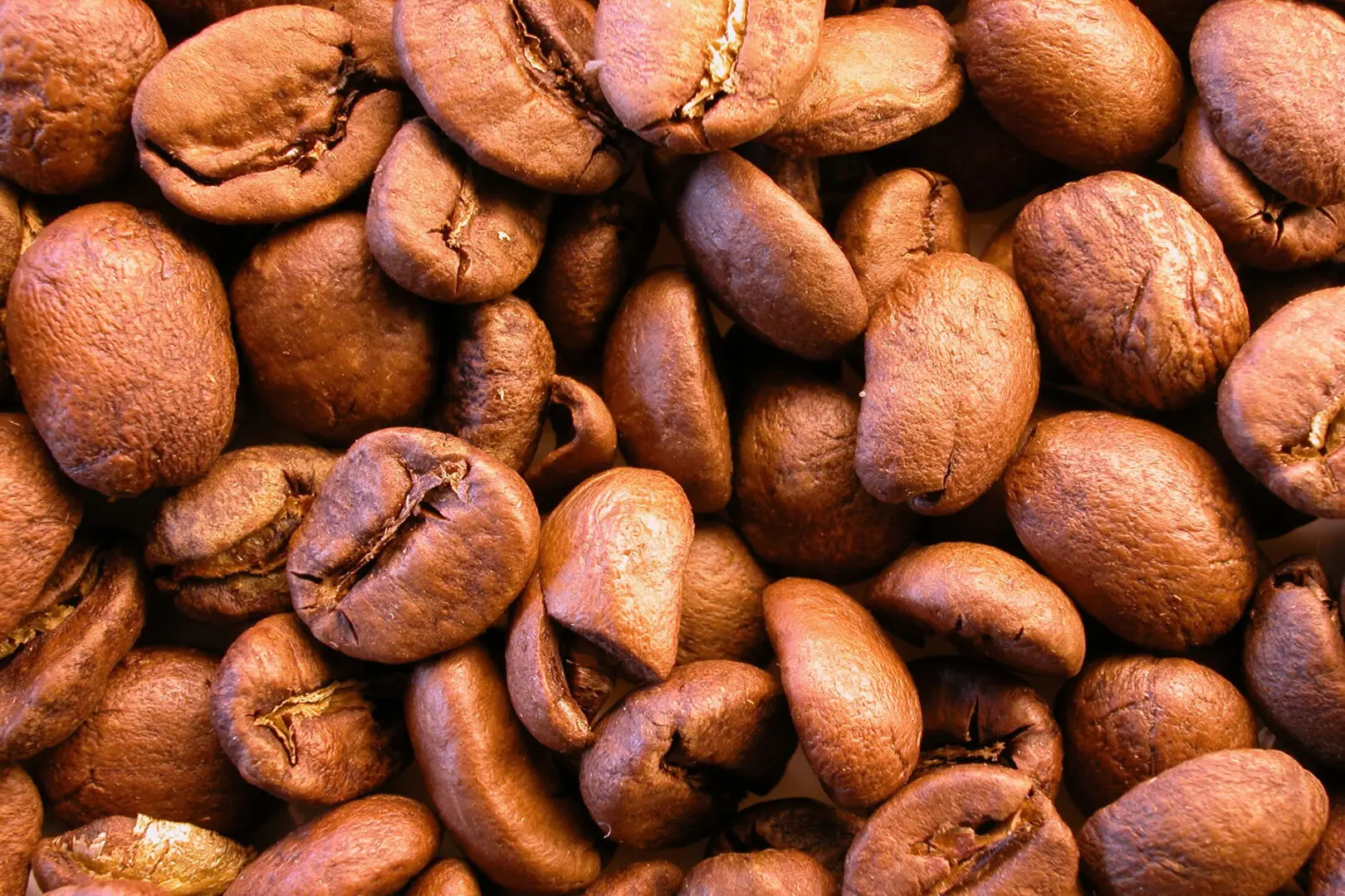 Granos de café tostado en primer plano que ilustran el crecimiento de exportaciones mexicanas