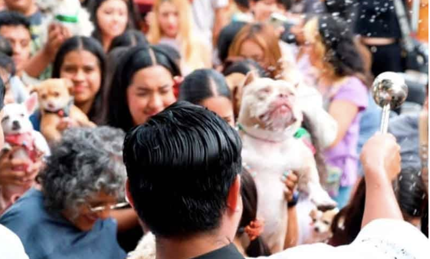 Bendición de mascotas en Tuxtla honra a San Roque