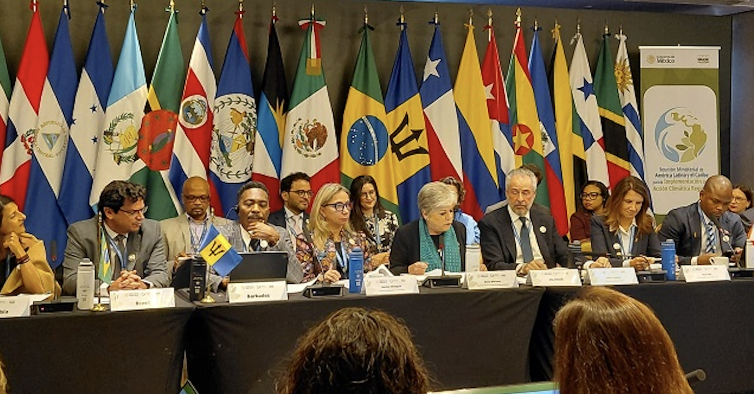 Conference delegates before Latin American flags
