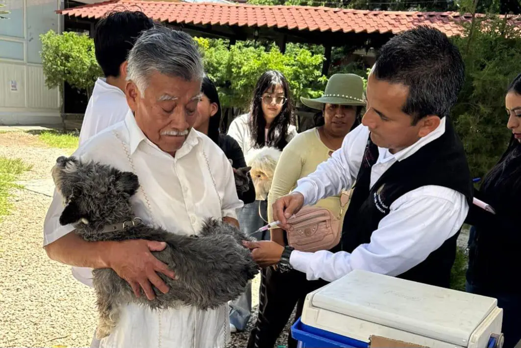 vigilancia contra la rabia
