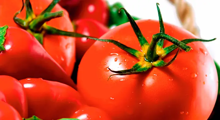 Productores de jitomate buscan precio mínimo ante arancel de EE.UU.