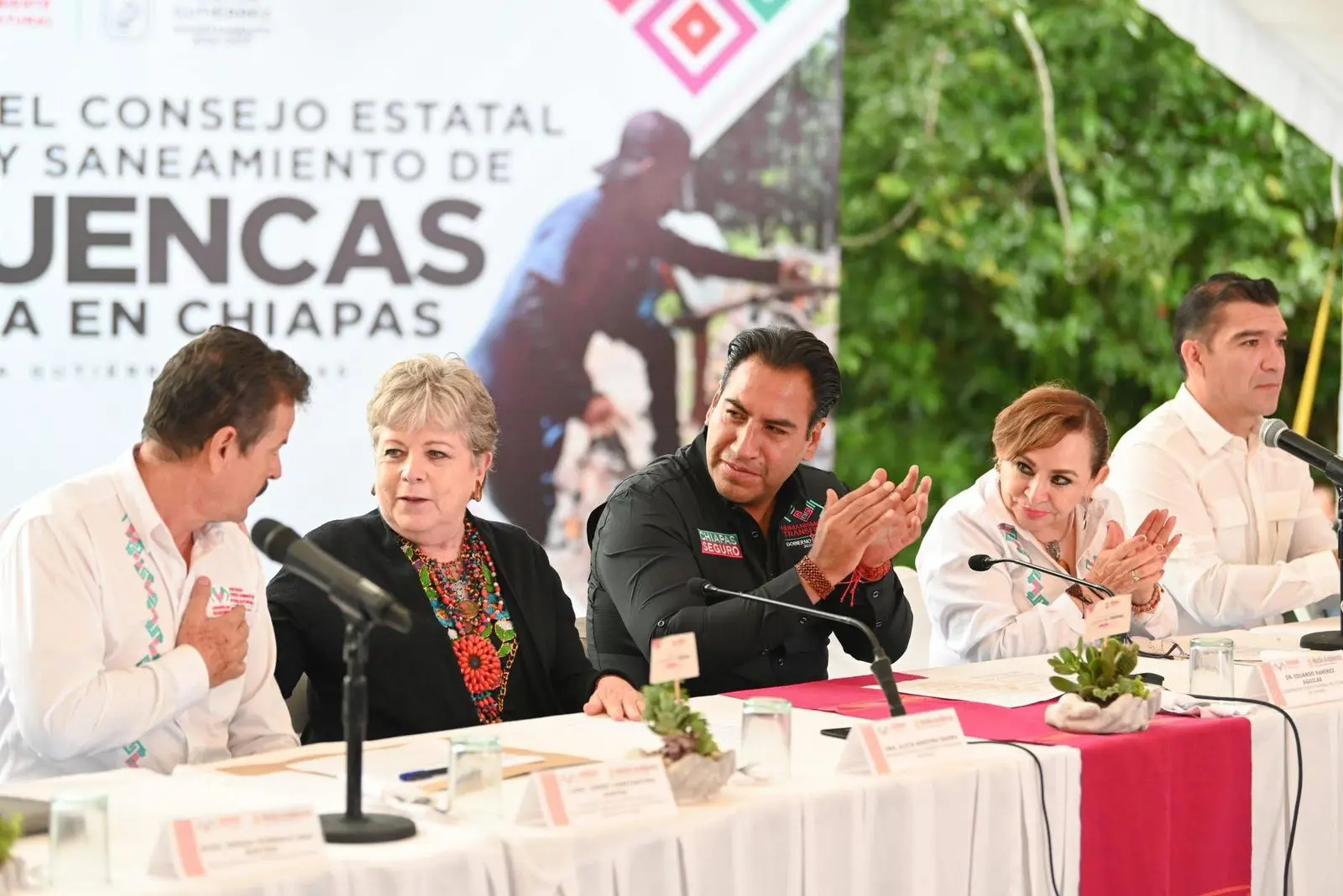 Avances de la restauración de microcuencas en Chiapas
