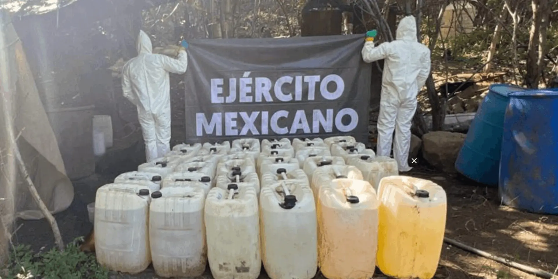 Golpe histórico al narcotráfico tras operativo federal en Michoacán