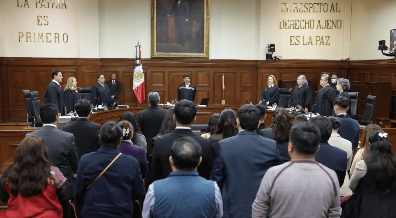 Personas con discapacidad participan en audiencia histórica de la SCJN sobre derecho a consulta vinculante