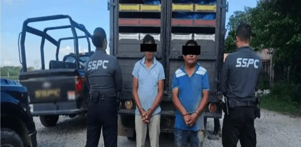 Fuerzas federales durante decomiso de mariguana en Tabasco