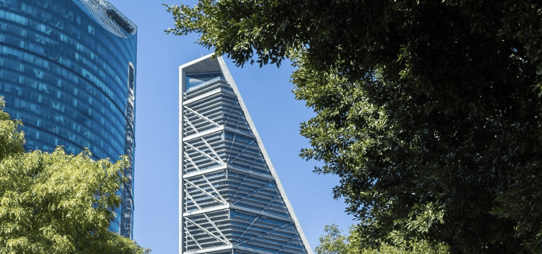 Modern skyscrapers framed by green tree leaves.