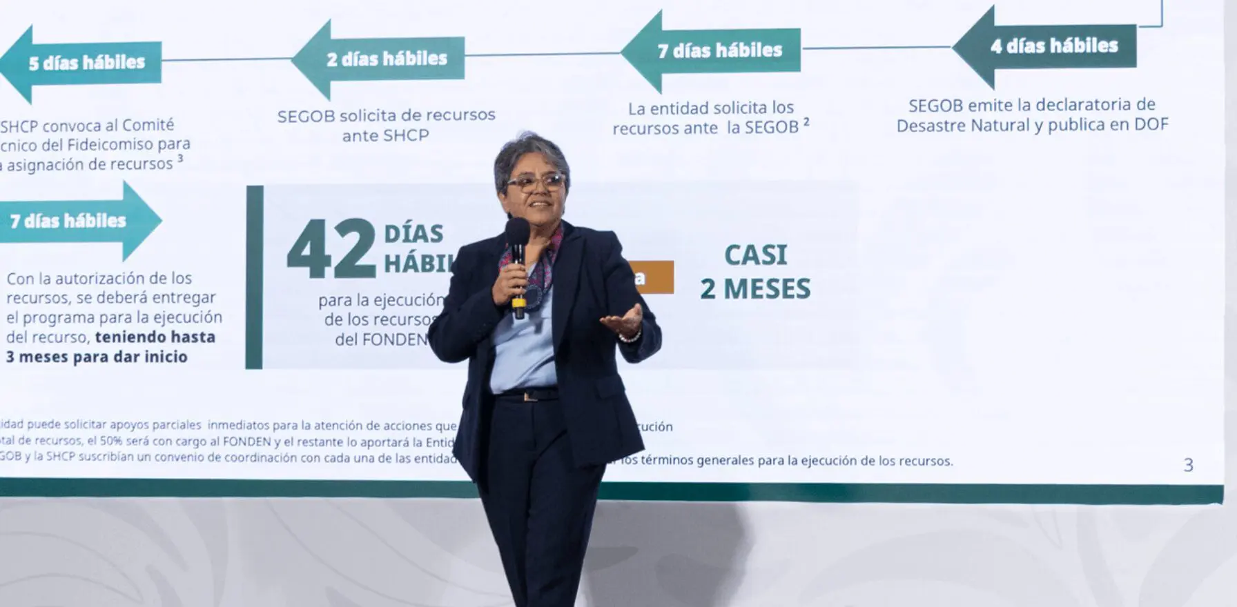 Businesswoman presenting in front of timeline