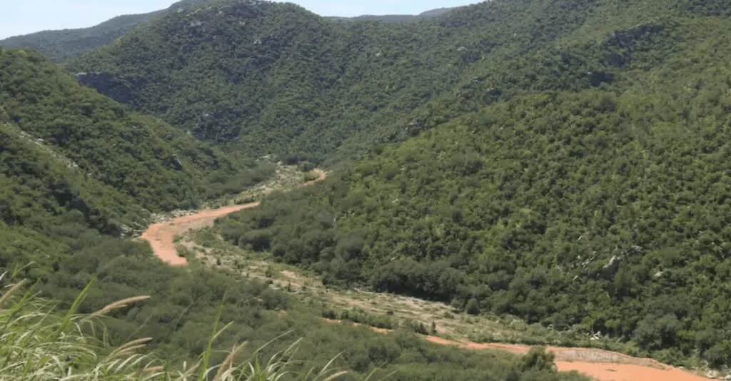 Labores de saneamiento y restauración ambiental en el río Sonora tras el derrame de 2014