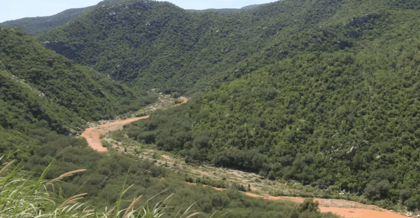 Labores de saneamiento y restauración ambiental en el río Sonora tras el derrame de 2014