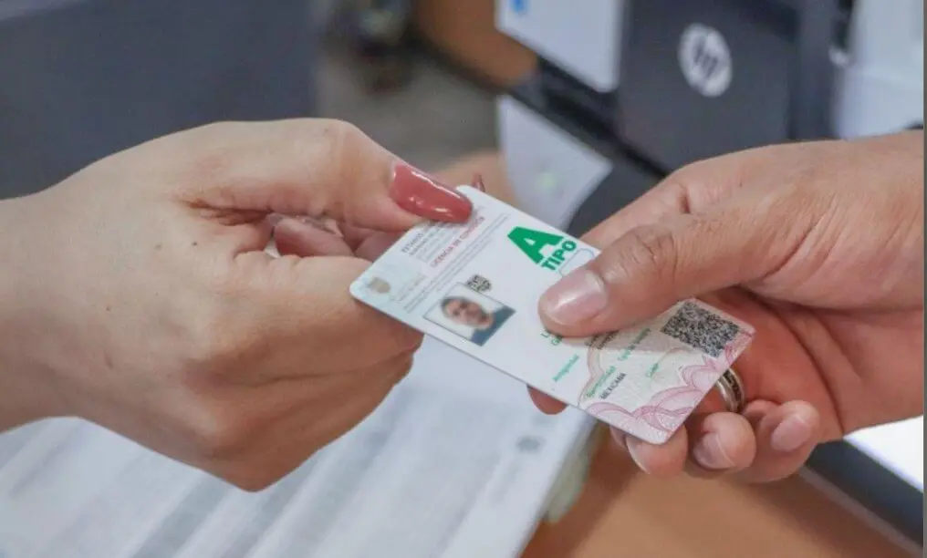 Licencia de conducir