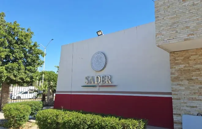 Agroproductores dialogan con Sader por nuevo modelo de agricultura nacional