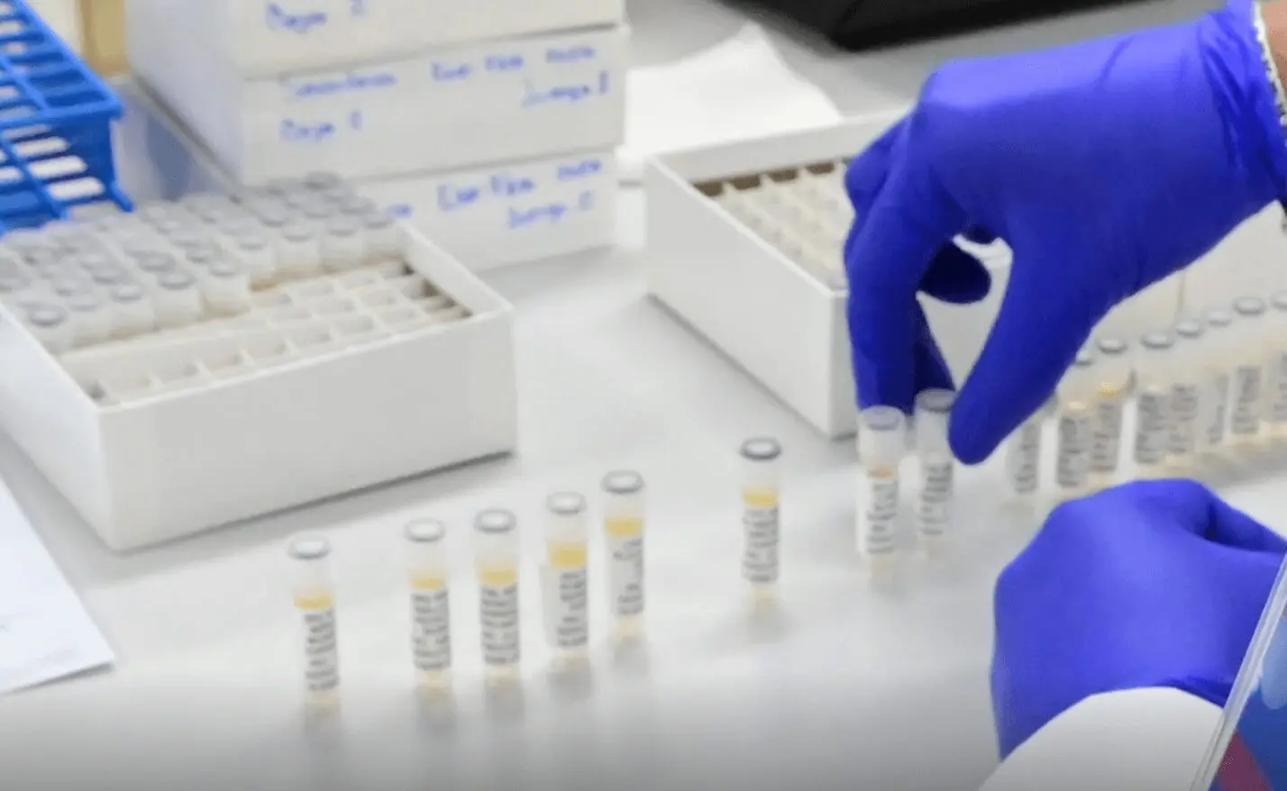 Jornada de vacunación contra el sarampión en la Ciudad de México