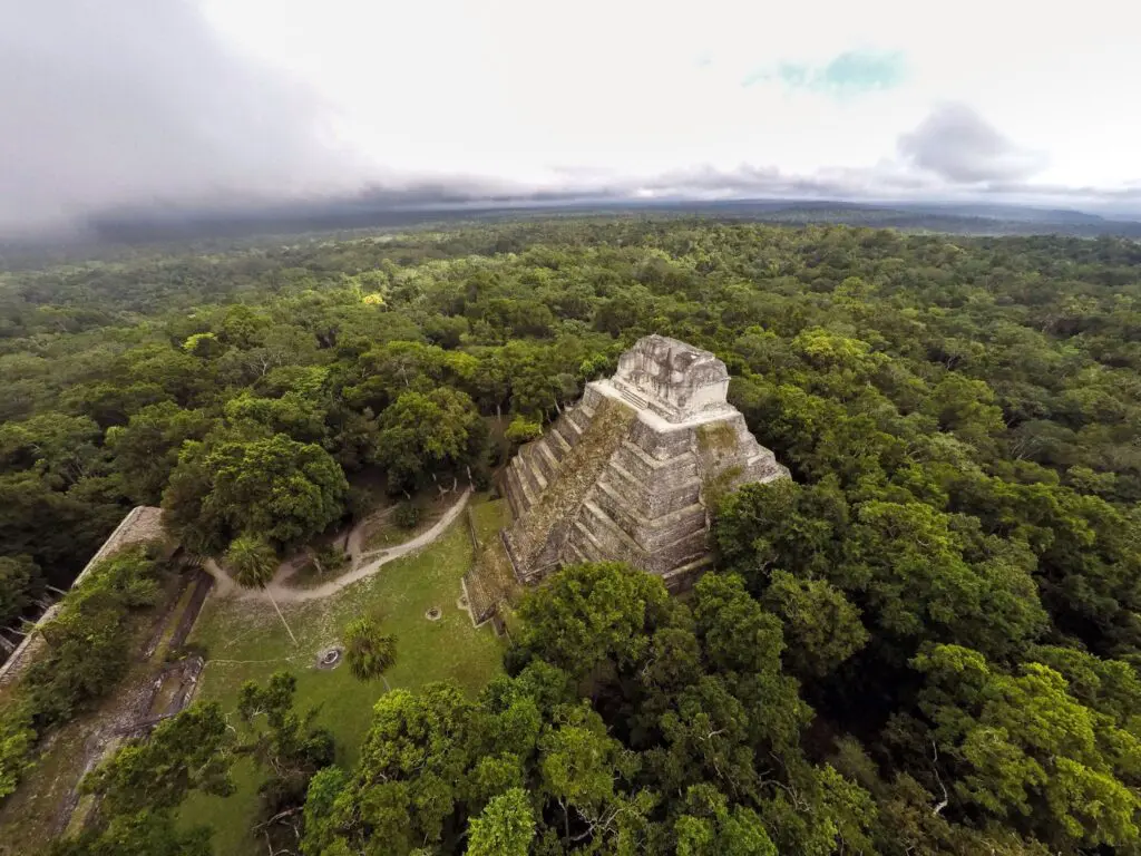 Gobiernos de México crean estrategia para proteger la Selva Maya