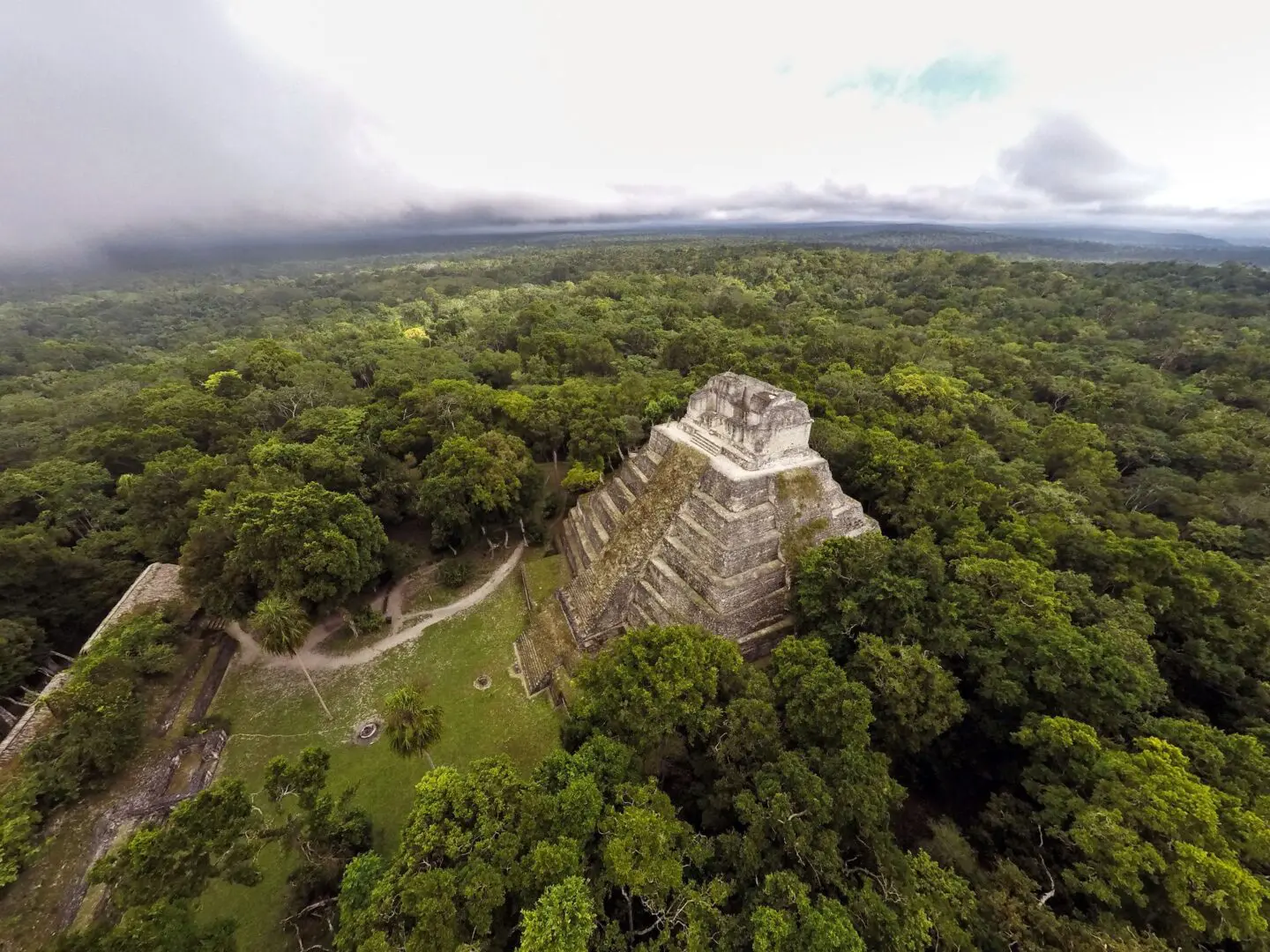 Gobiernos de México crean estrategia para proteger la Selva Maya