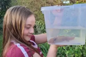 Un ajolote se encontró en Reino Unido, lo que originó un debate sobre la forma en cómo llego ese animalito a Europa