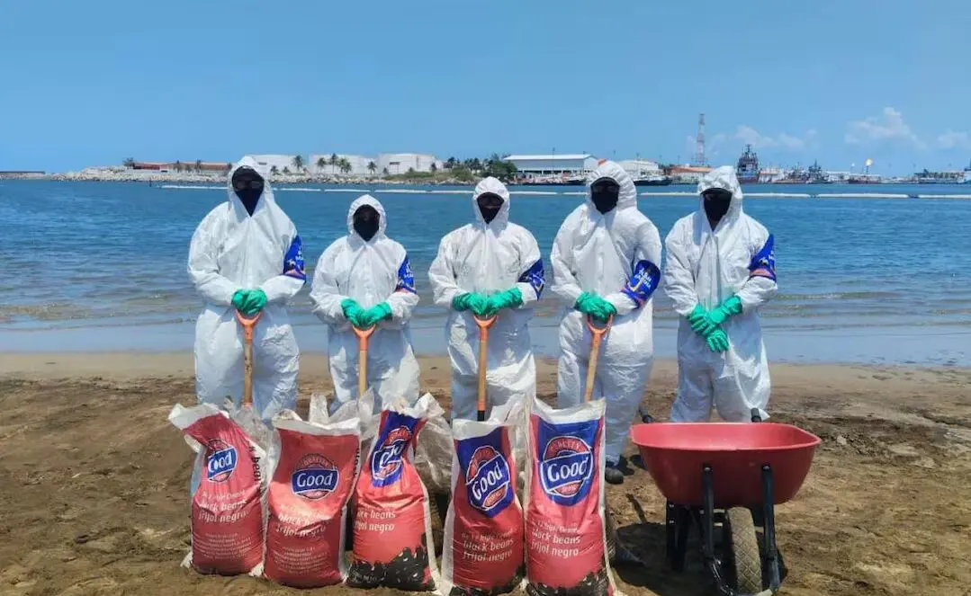 Grupo interinstitucional con rostros cubiertos y trajes especiales en la playa