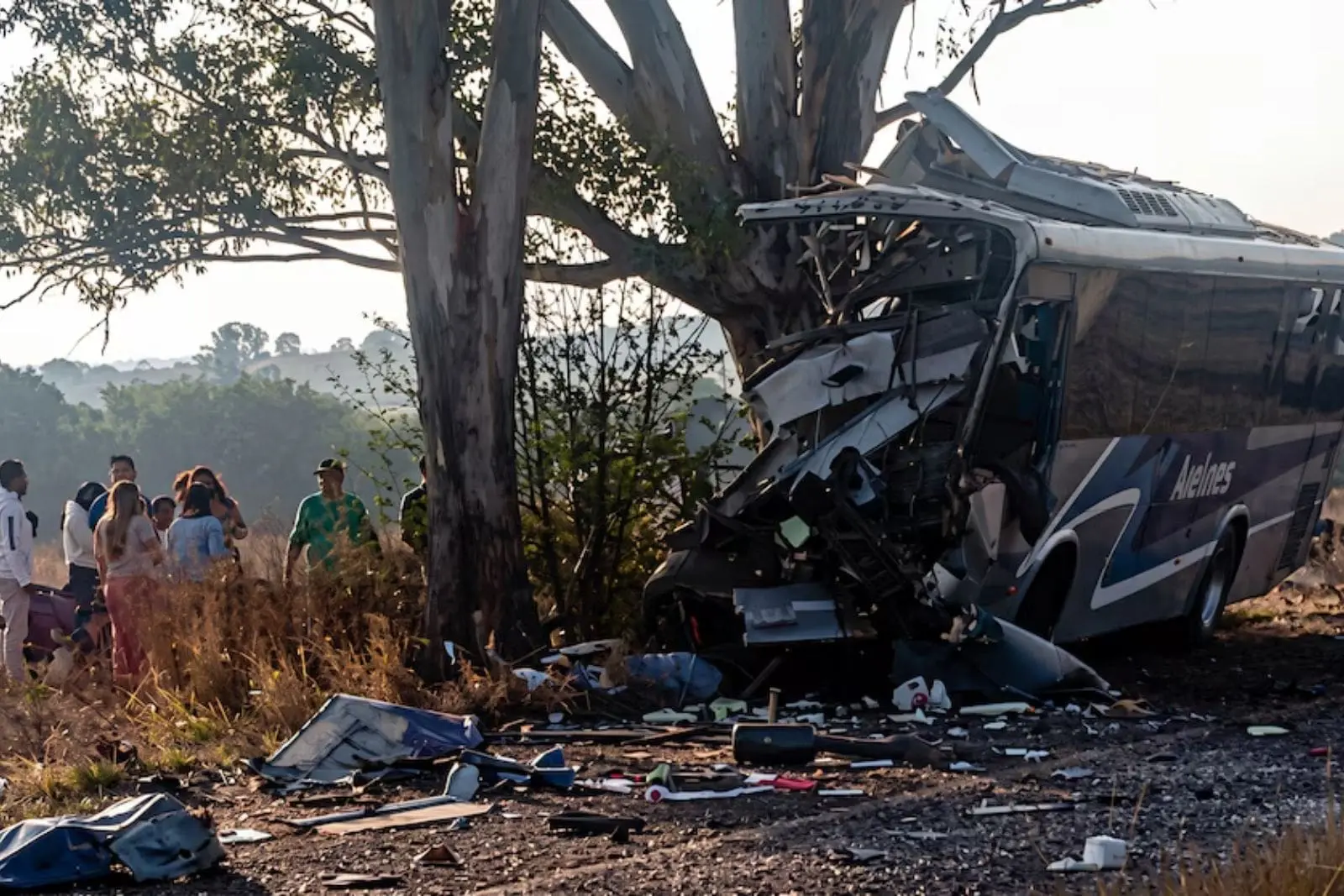 Autobús se impacta contra árbol en Querétaro; accidente deja 9 muertos