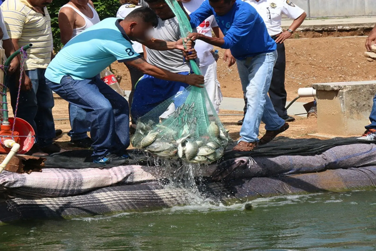 Alumnos de la UPChiapas crean sistema para mejorar la producción de tilapia