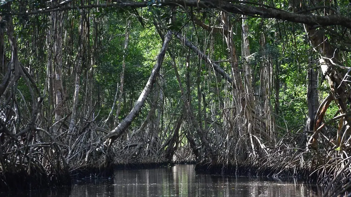 La Encrucijada en Chiapas