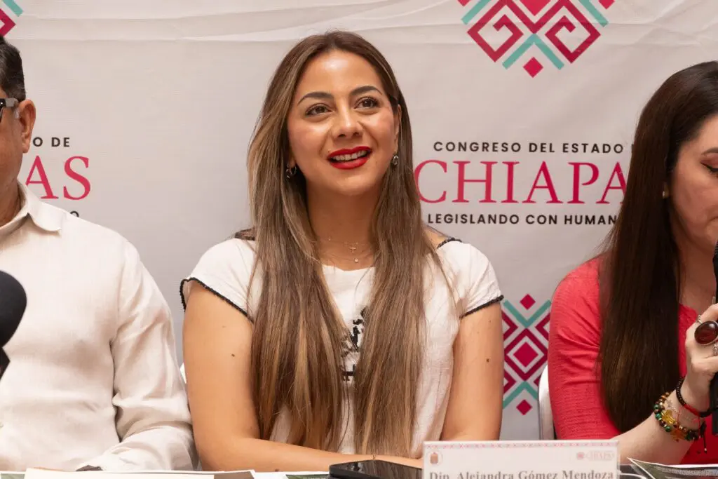 Smiling woman at press conference table