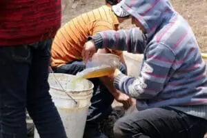 Adulteración de gasolinas en México cae de 34% a 10%, reporta CIEFSA