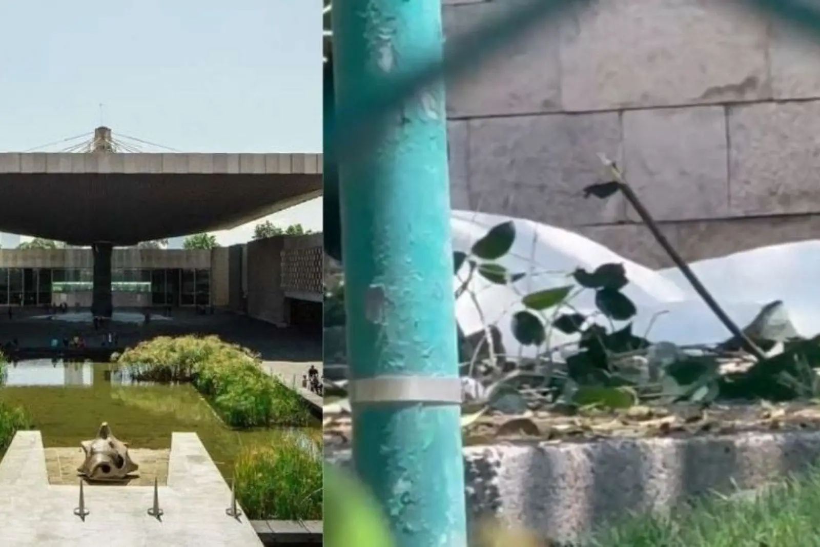 Tragedia en Museo Nacional de Antropología: INAH confirma muerte de trabajador durante labores de poda