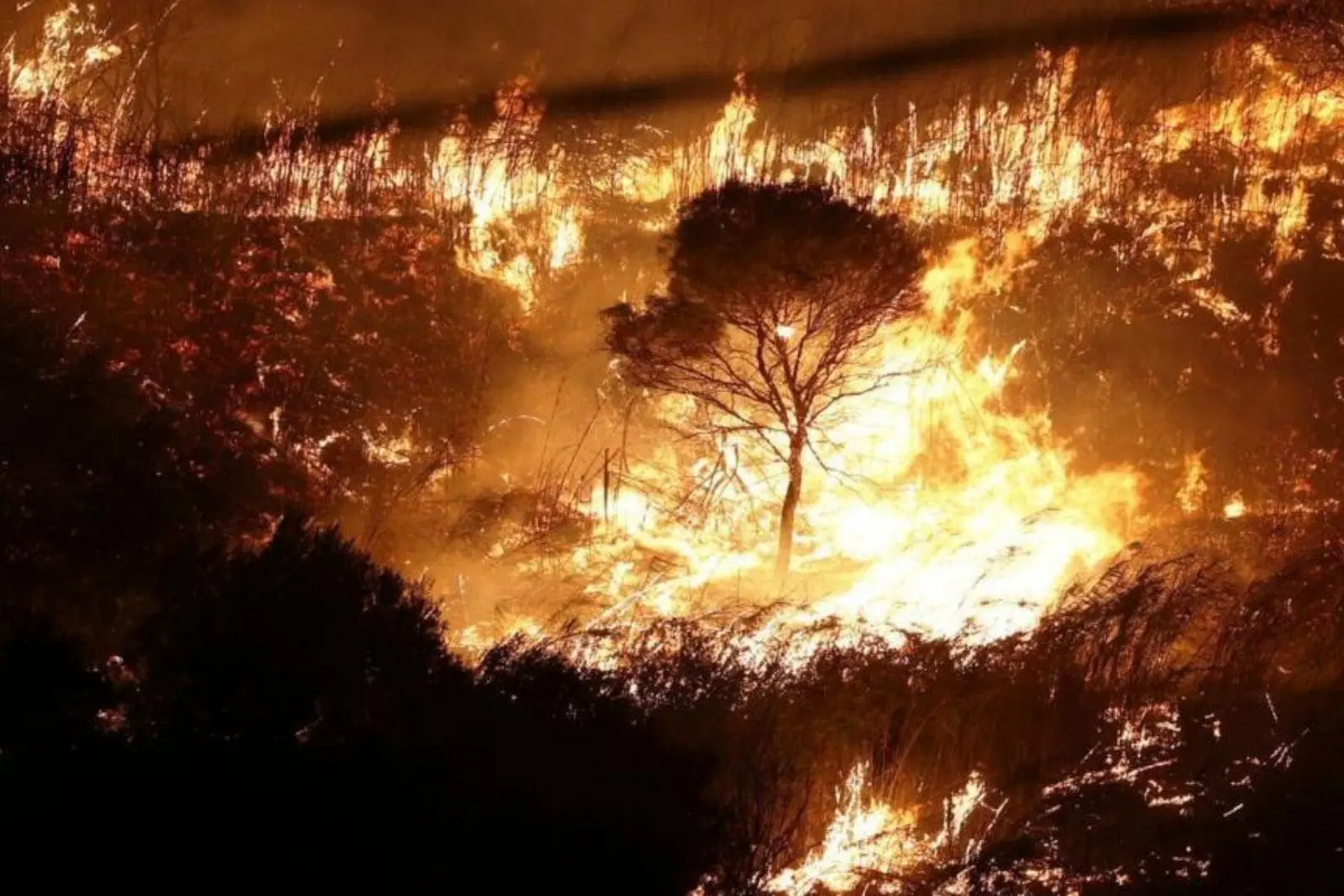 Incendio forestal masivo en Italia ocasiona evacuación de 3000 personas