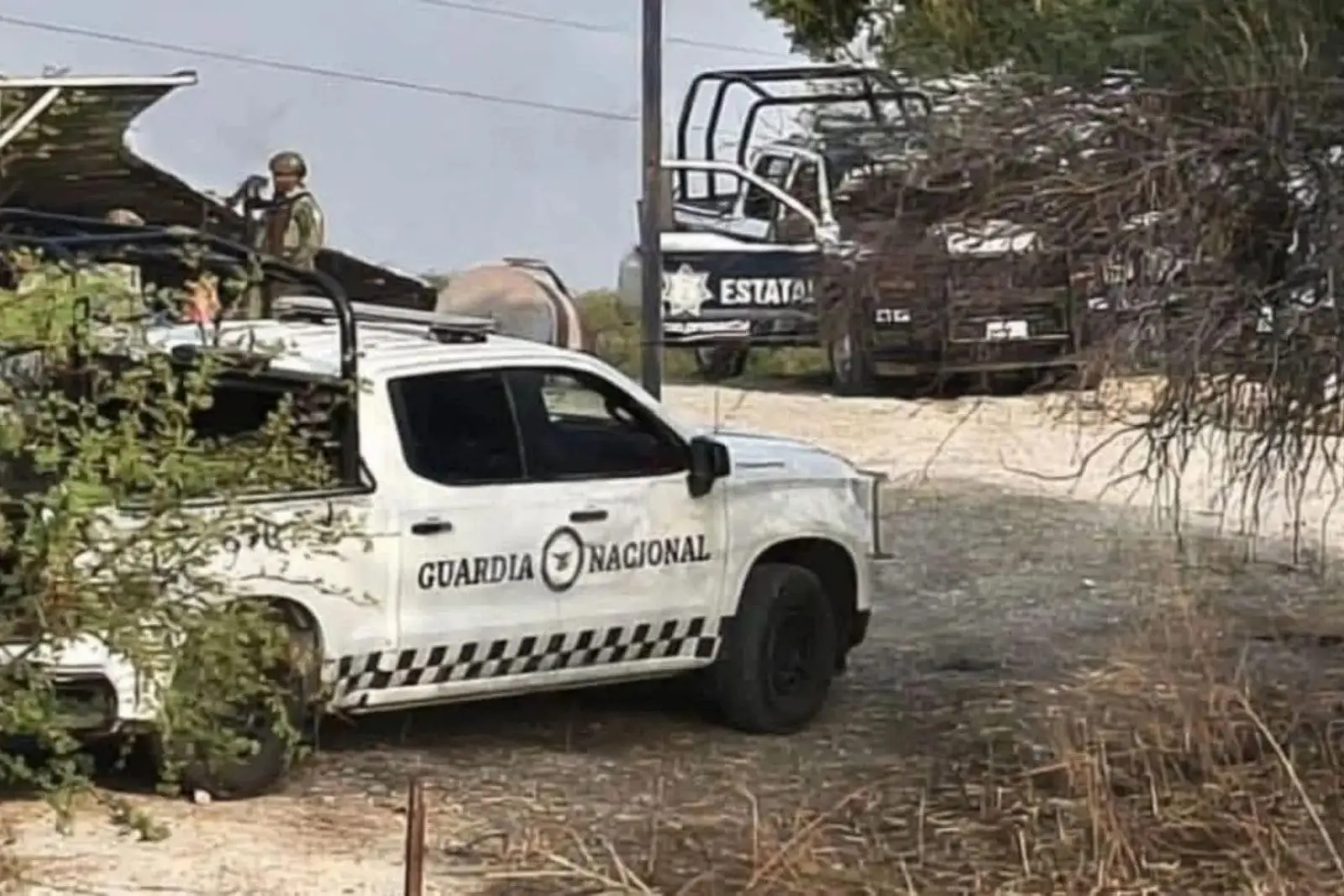 Asesinan a 10 integrantes de una familia en Puebla; bebé recién nacida está entre las víctimas