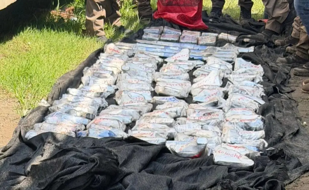 Rows of wrapped rectangular packages on black tarp