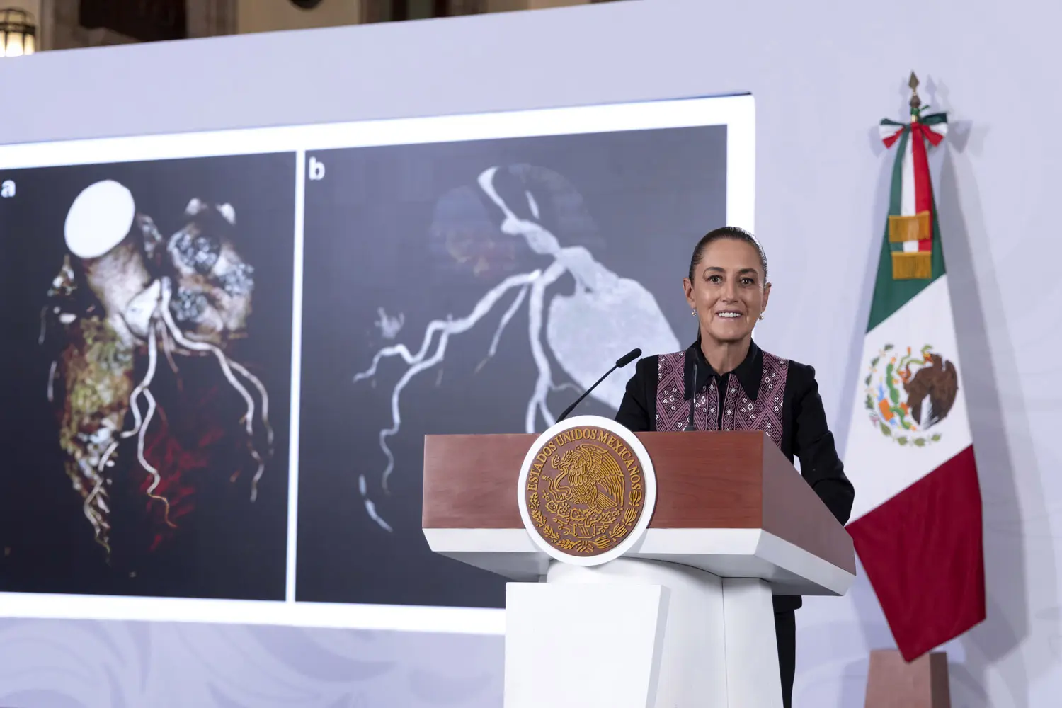 Modernización en sistema de salud repara daños del neoliberalismo: CSP