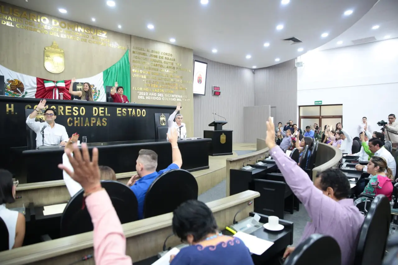 Chiapas state congress members voting