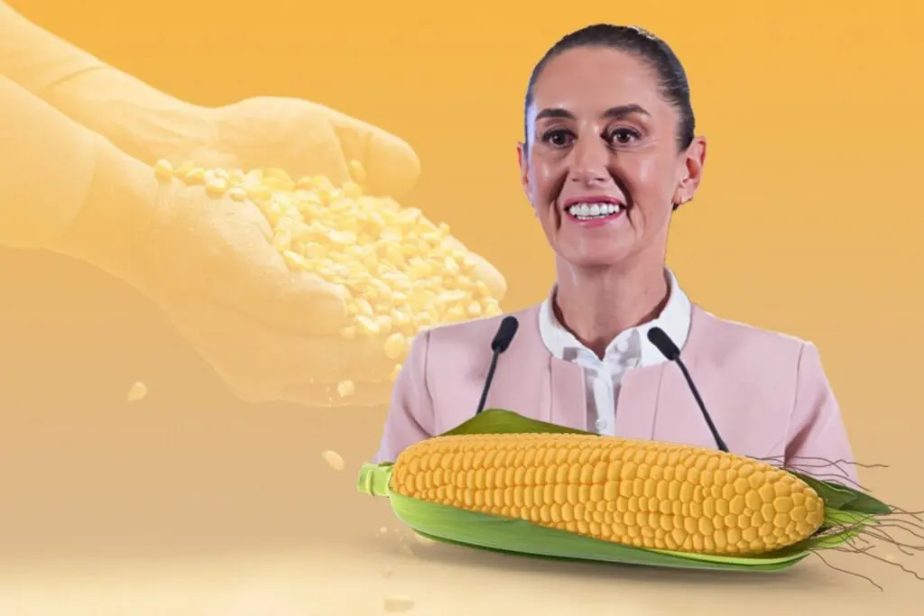 Presidenta presenta en Chiapas programa “El Maíz es la Raíz” para fortalecer campo mexicano