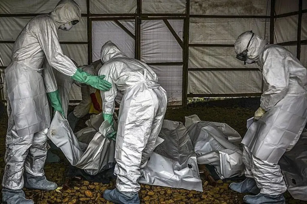Brote de ébola en la RD del Congo deja 196 muertos y 837 casos confirmados