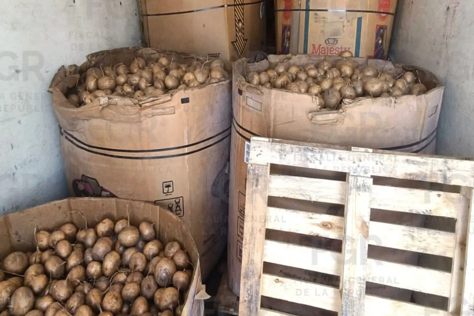 FGR asegura casi una tonelada de metanfetamina oculta en cargamento de jícamas en Durango
