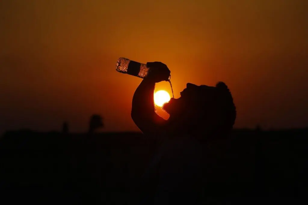 OMS reporta más de mil 300 muertes por histórica ola de calor en Europa