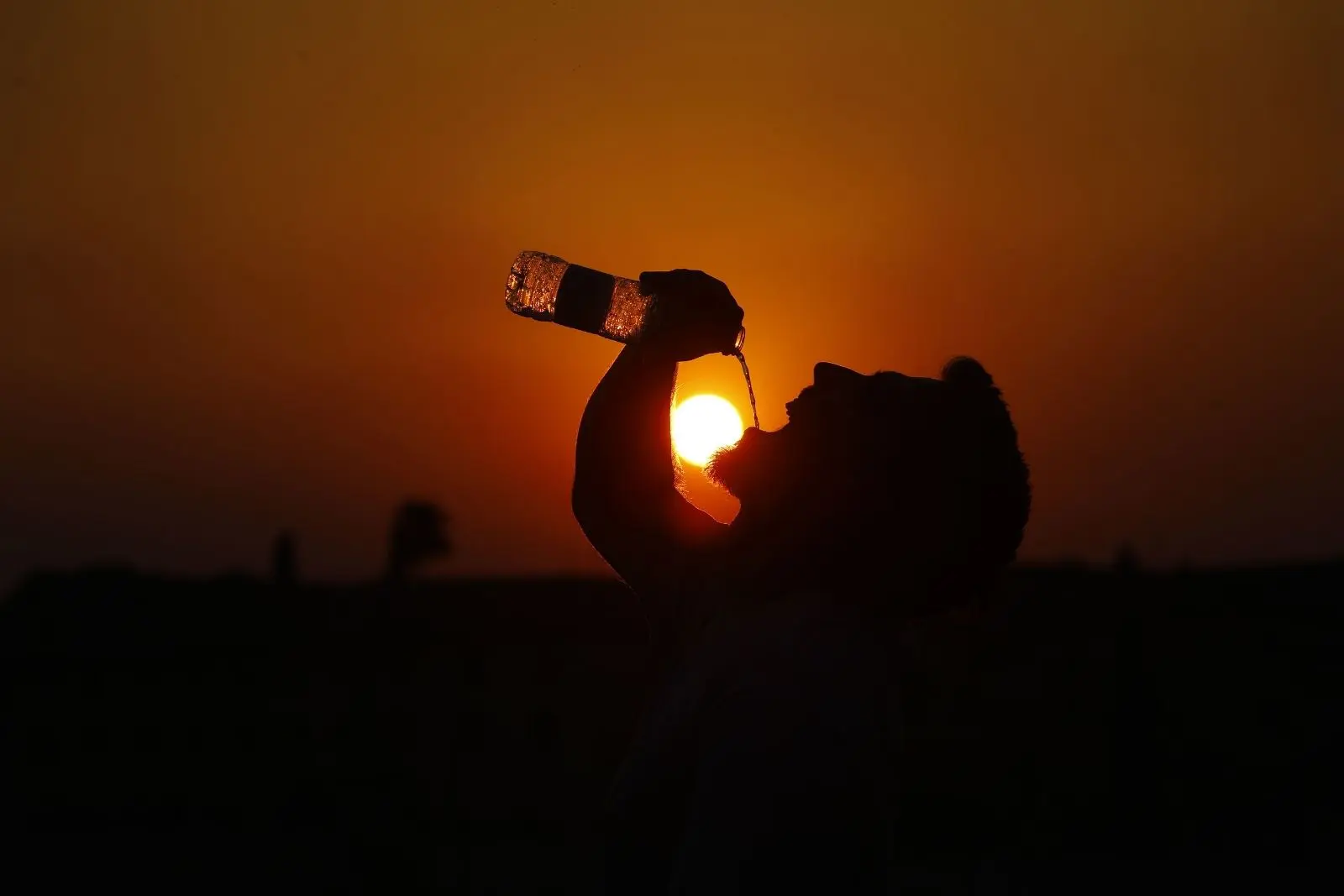 OMS reporta más de mil 300 muertes por histórica ola de calor en Europa