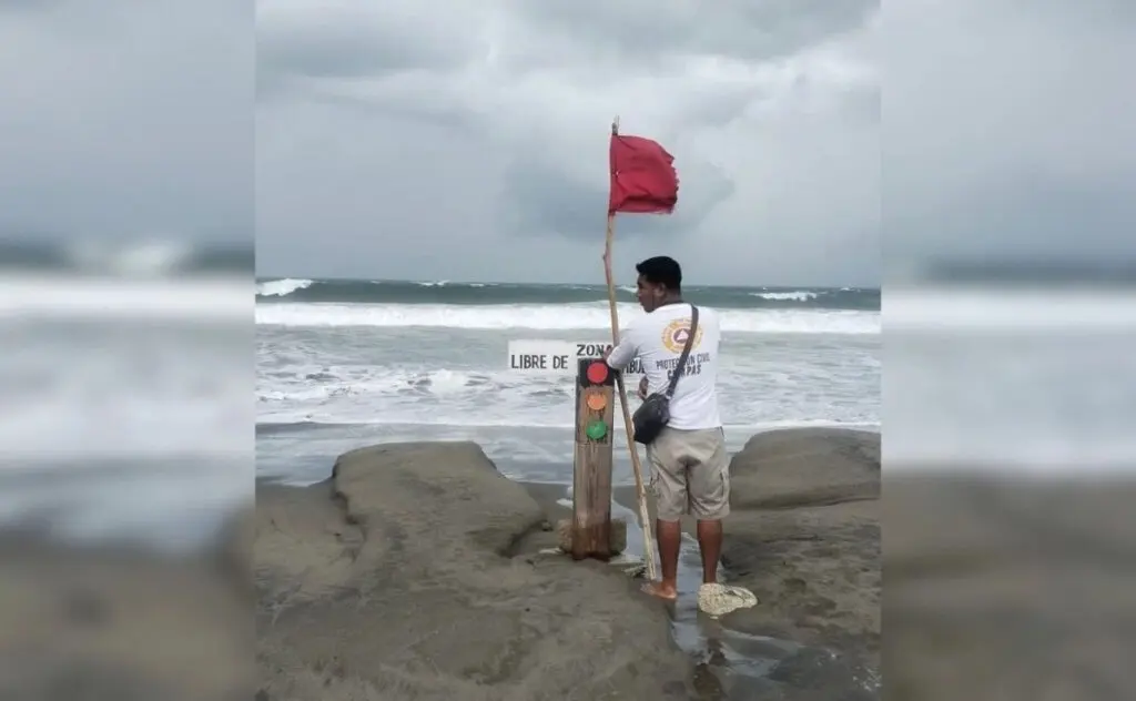 Person standing on beach by red flag