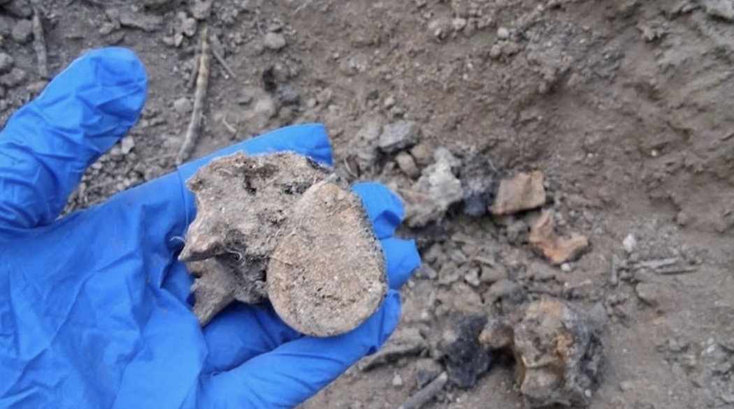 Autoridades estatales realizaron diligencias forenses tras el hallazgo de restos humanos en un predio al sur de Reynosa.