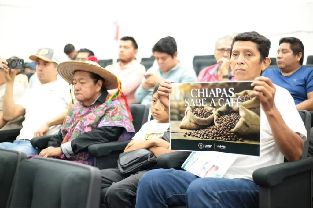 Congreso de Chiapas declara el 24 de noviembre como el Día del Café Chiapaneco