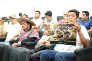 Congreso de Chiapas declara el 24 de noviembre como el Día del Café Chiapaneco