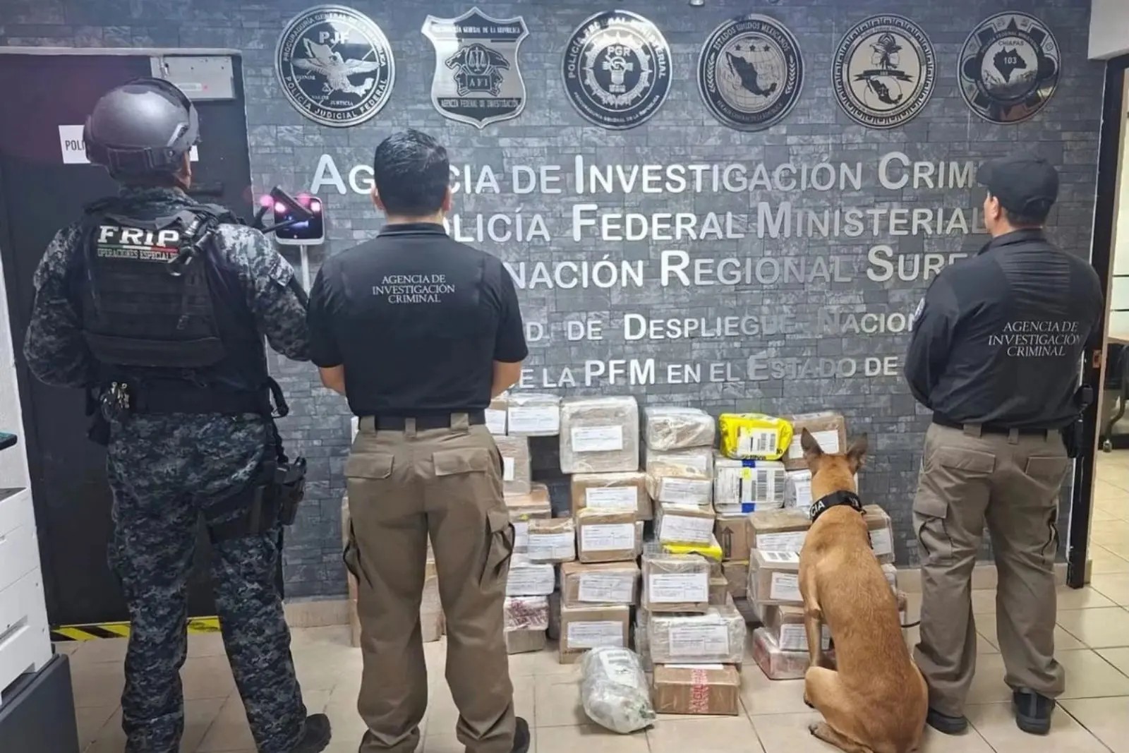 Aseguran más de 691 kilos de mariguana y detienen a tres presuntos implicados en Chiapas