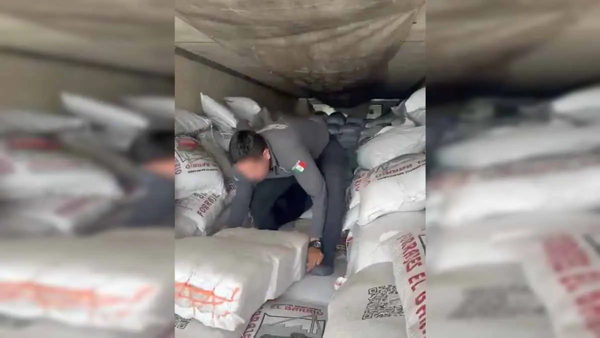 Operativo conjunto permitió localizar metanfetamina escondida entre costales de alimento para ganado.