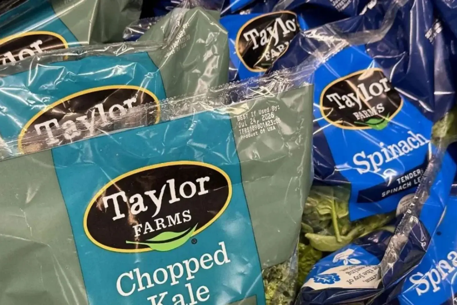 Taylor Farms suspende temporalmente planta en Guanajuato por brote de ciclosporiasis en EU