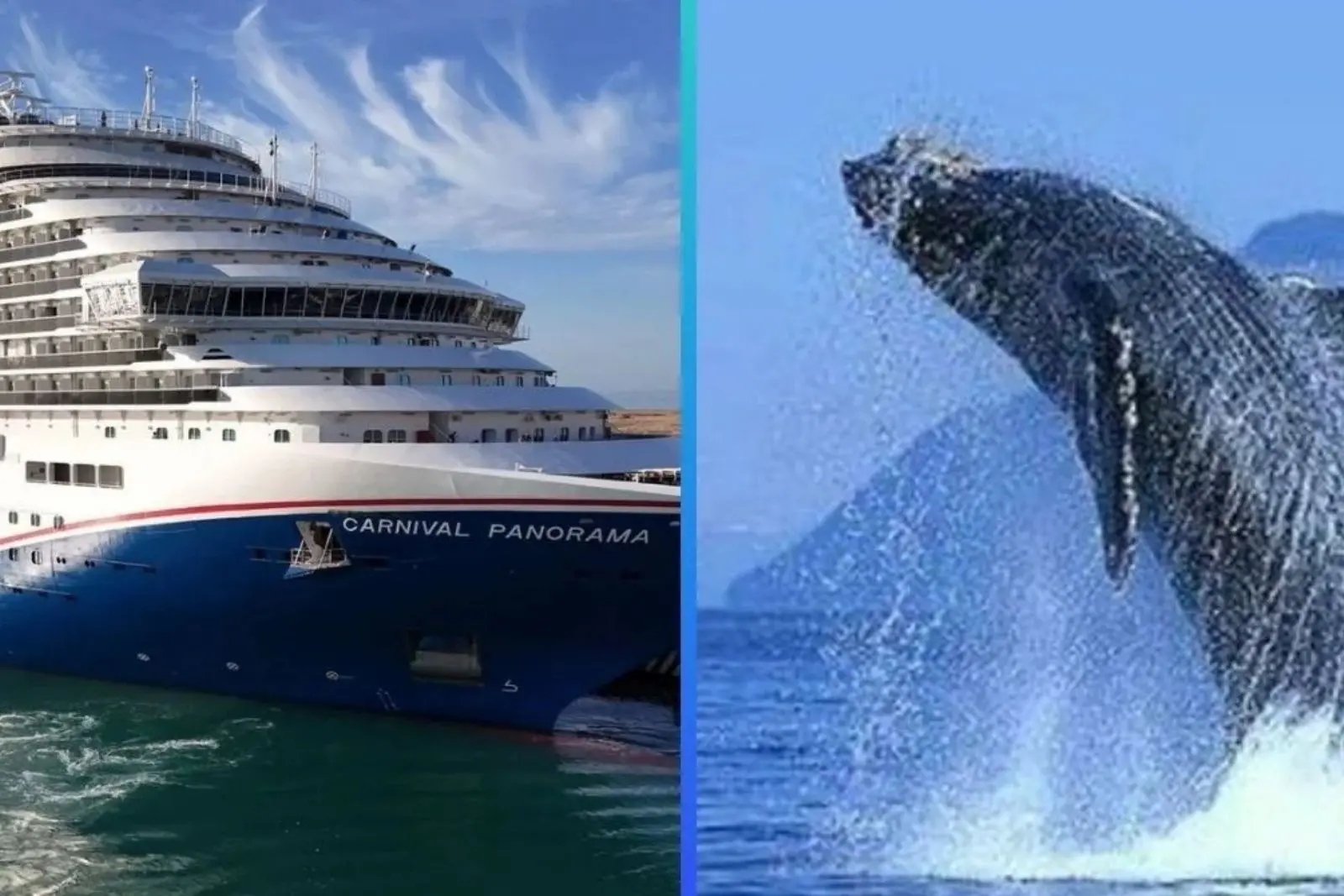 Semarnat acuerda proteger la Bahía de Loreto; ratifica que no habrá cruceros ni puerto de altura